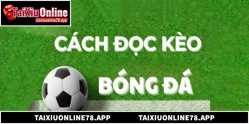 Cách Đọc Kèo Bóng Đá Trên Điện Thoại Nhanh Và Chính Xác Nhất
