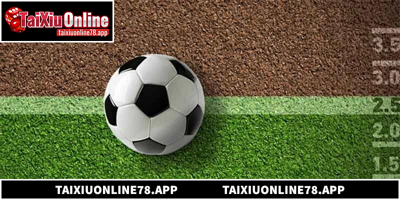 Cách ghi nhớ các ký hiệu viết tắt để đọc bảng kèo