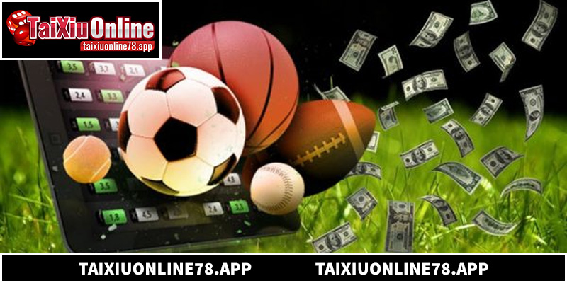 Chọn giao diện phù hợp giúp bạn soi kèo hiệu quả